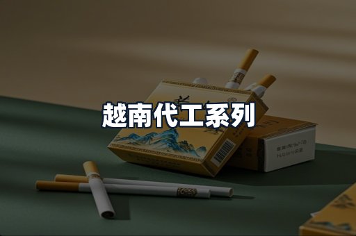越南代工系列